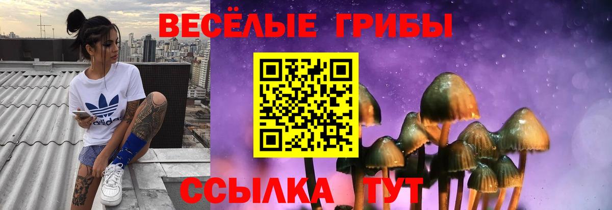 Домодедово  Псилоцибиновые грибы мицелий  Вход с VPN  Галлюциногенные грибы Psilocybe 