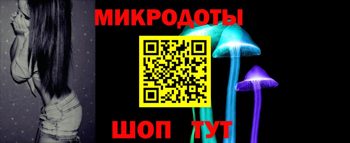 Псилоцибиновые грибы Psilocybe Домодедово