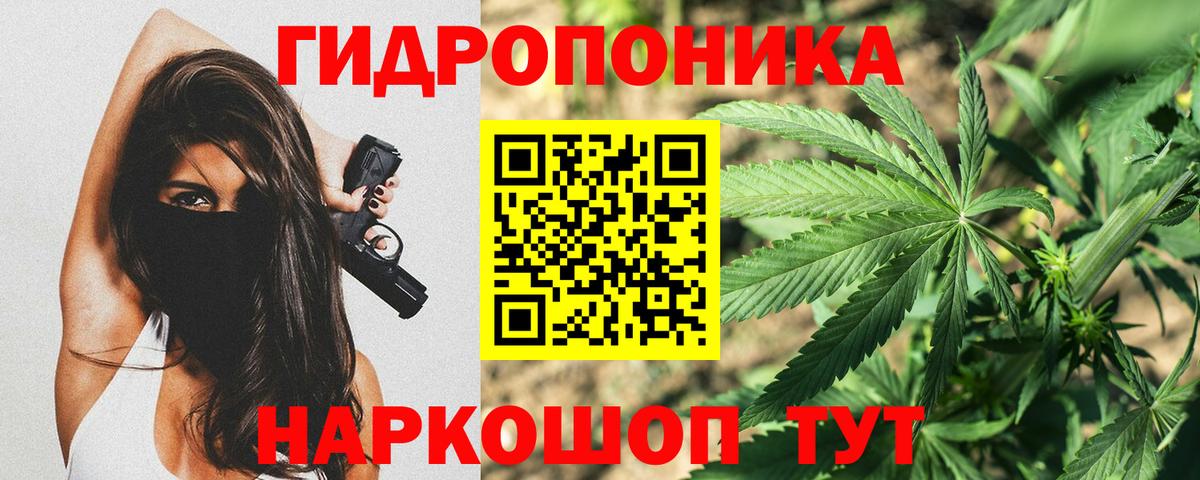Бошки марихуана марихуана  Канабис White Widow  Шишки марихуана план  Вход с VPN  Домодедово 